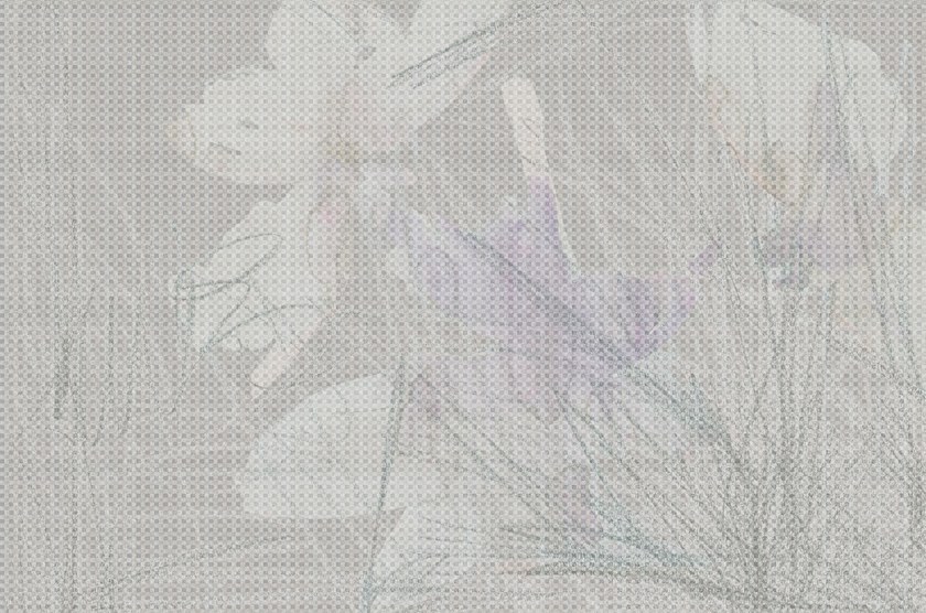 item_proto