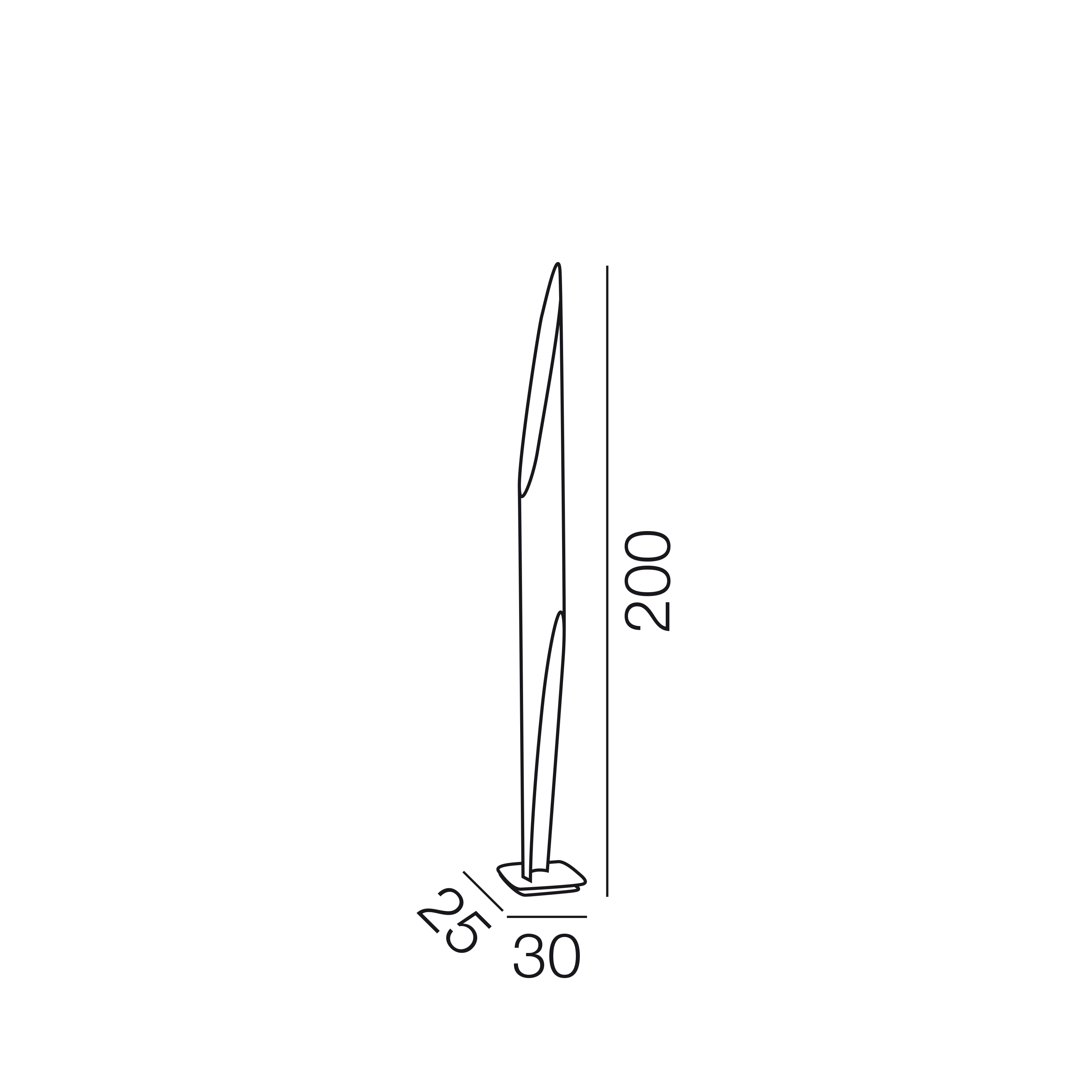 item_proto